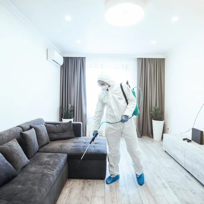 Technicien G.E.N traitant le salon d'un appartement avec un pulvérisateur